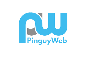PinguyWeb, Web Agency Udine